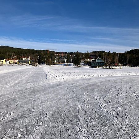 Apartment Marta Lipno nad Vltavou Kültér fotó