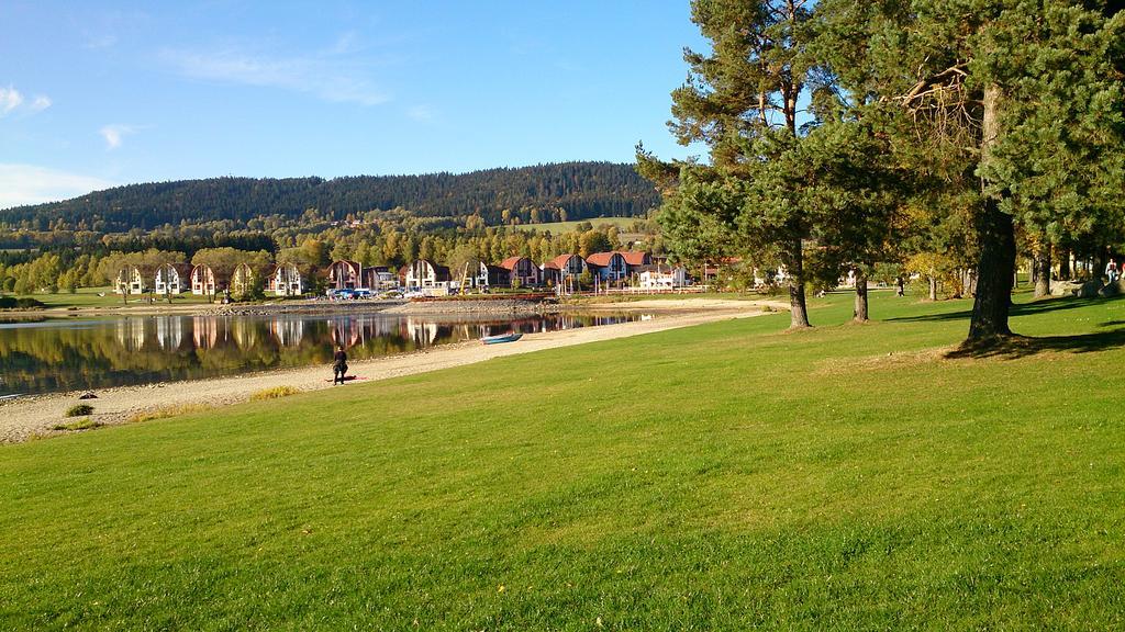 Apartment Marta Lipno nad Vltavou Kültér fotó